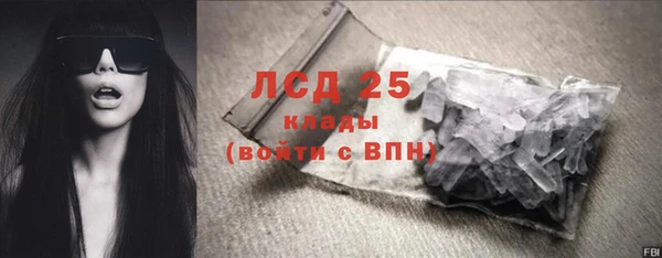 СК Алексин