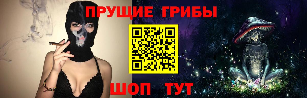 Псилоцибиновые грибы Cubensis  Вход с VPN  Галлюциногенные грибы ЛСД  Ахтубинск 